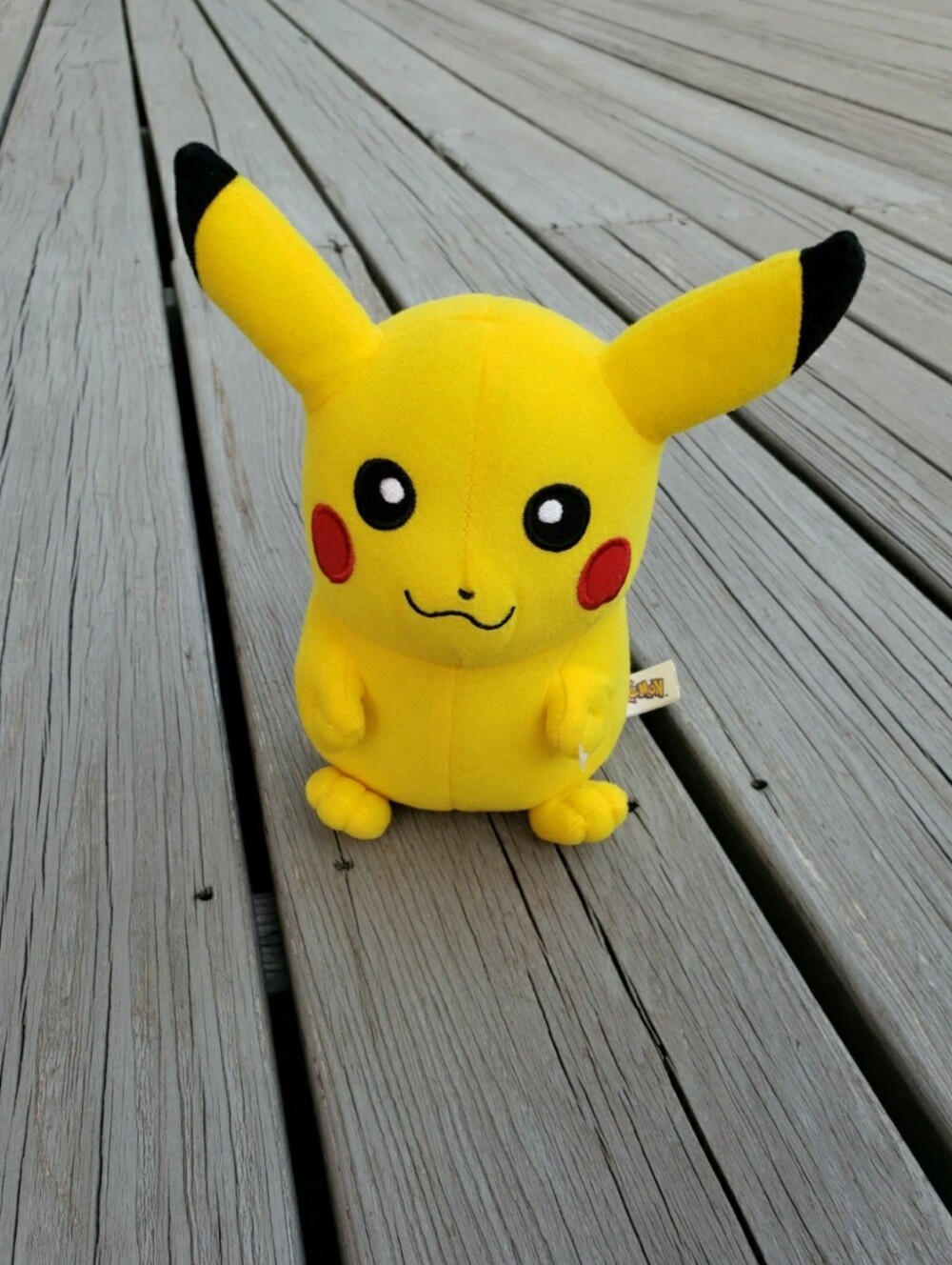 Pokémon Pikachu Plush Toy